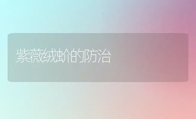 紫薇绒蚧的防治 | 植物知识