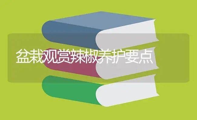 盆栽观赏辣椒养护要点 | 植物百科