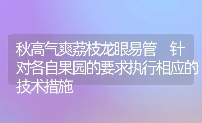 秋高气爽荔枝龙眼易管　针对各自果园的要求执行相应的技术措施 | 植物科普