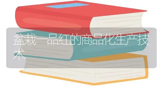 盆栽一品红的商品化生产技术 | 植物知识
