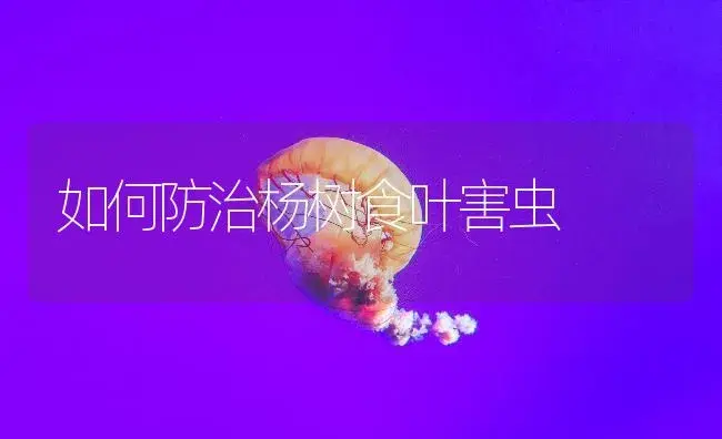 如何防治杨树食叶害虫 | 植物知识