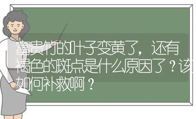 富贵竹的叶子变黄了，还有褐色的斑点是什么原因了？该如何补救啊？ | 植物问答