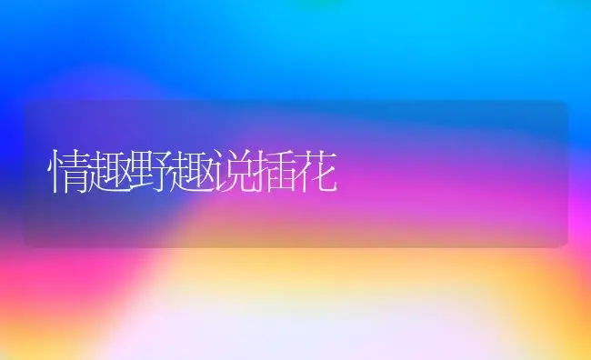 情趣野趣说插花 | 植物知识