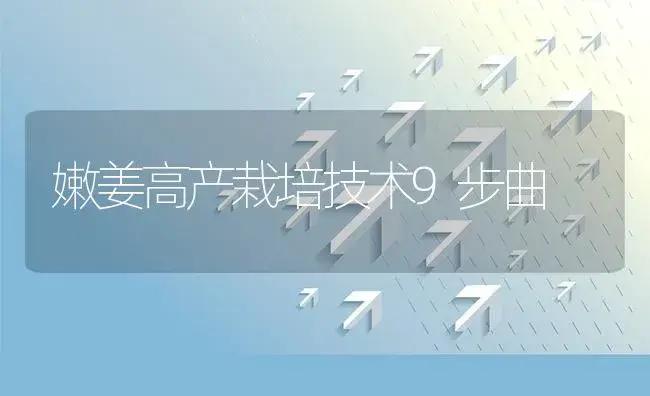 嫩姜高产栽培技术9步曲 | 植物资料