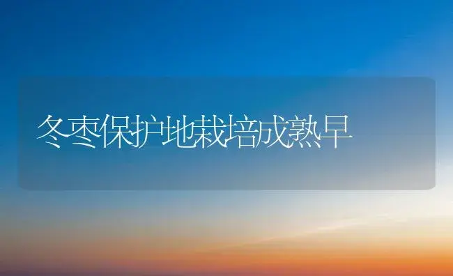冬枣保护地栽培成熟早 | 植物百科
