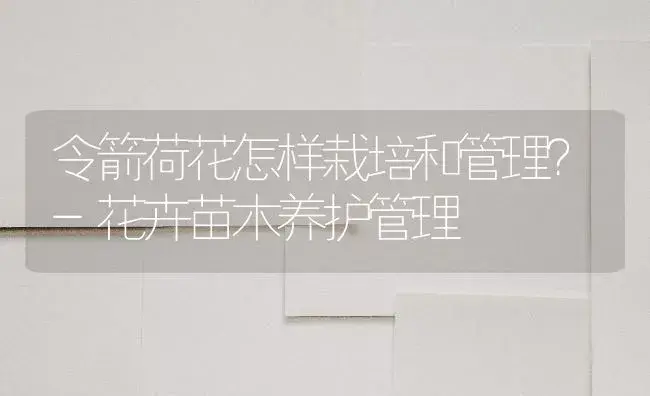 令箭荷花怎样栽培和管理？-花卉苗木养护管理 | 植物知识
