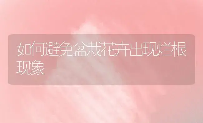 如何避免盆栽花卉出现烂根现象 | 植物科普