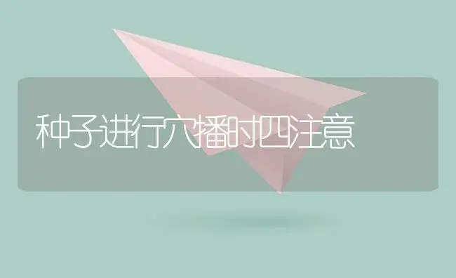 种子进行穴播时四注意 | 植物资料