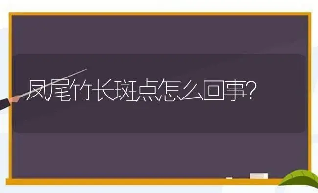 凤尾竹长斑点怎么回事？ | 植物问答