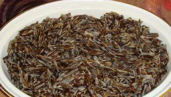 茭白无土栽培技术