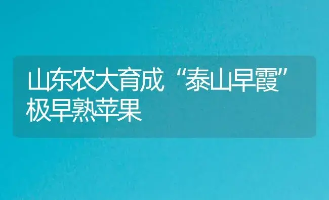 山东农大育成“泰山早霞”极早熟苹果 | 植物百科