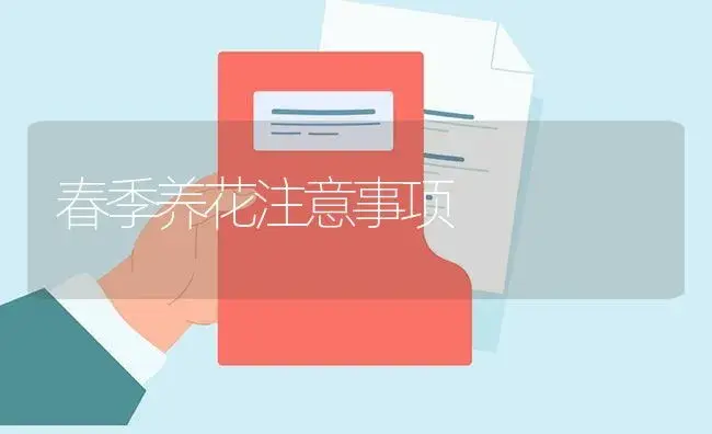 春季养花注意事项 | 植物知识