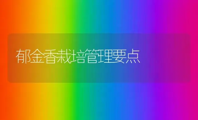 郁金香栽培管理要点 | 植物科普