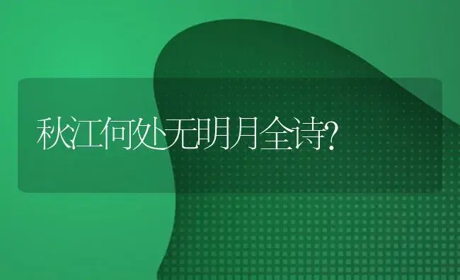 秋江何处无明月全诗？ | 植物问答