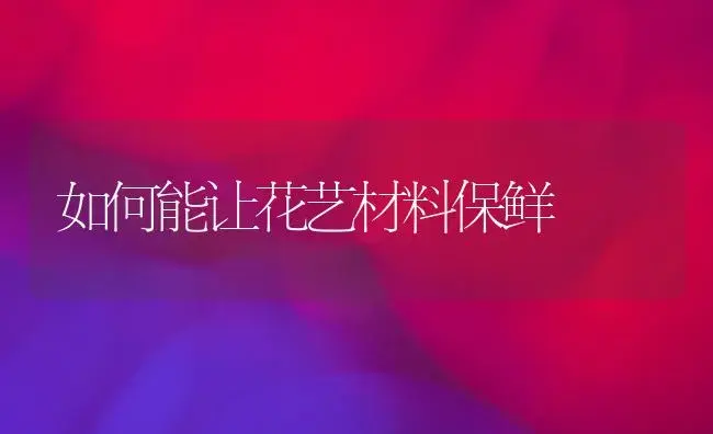 如何能让花艺材料保鲜 | 植物知识