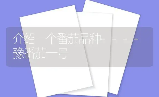 介绍一个番茄品种----豫番茄一号 | 植物百科