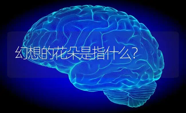 龟背兰可以放卧室吗？ | 植物问答