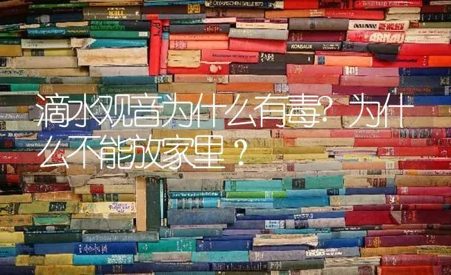 滴水观音为什么有毒?为什么不能放家里？ | 植物问答