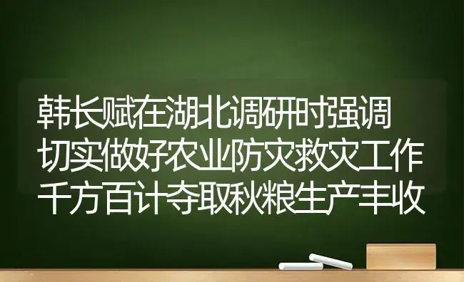 韩长赋在湖北调研时强调 切实做好农业防灾救灾工作 千方百计夺取秋粮生产丰收 | 植物科普