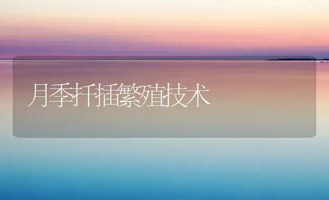 月季扦插繁殖技术 | 植物知识