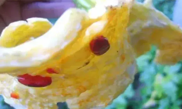 苦瓜裂瓜的原因
