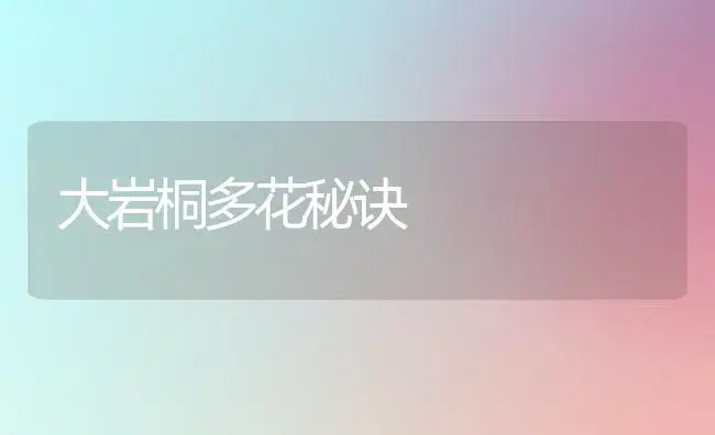 大岩桐多花秘诀 | 植物科普