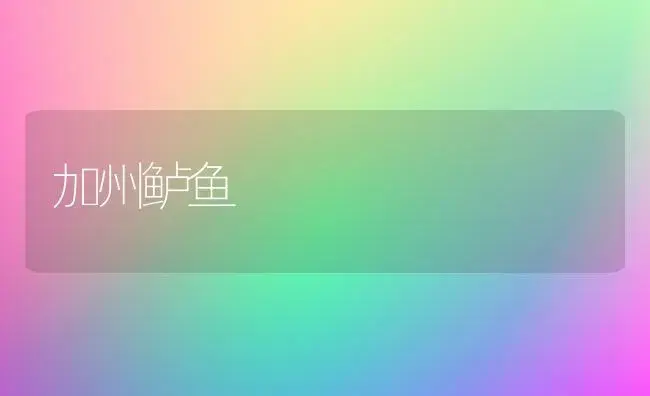 加州鲈鱼 | 植物科普