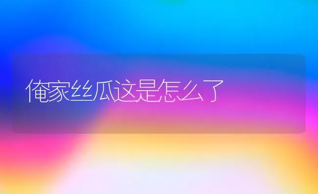 俺家丝瓜这是怎么了 | 植物科普
