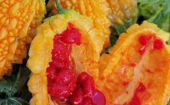 金铃子种植时间和方法，南方比北方的种植时间早