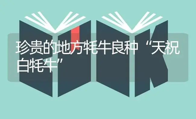 珍贵的地方牦牛良种“天祝白牦牛” | 植物科普