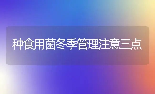 种食用菌冬季管理注意三点 | 植物科普