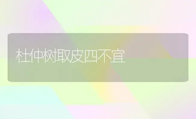 杜仲树取皮四不宜 | 植物科普