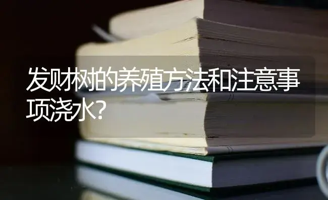 发财树的养殖方法和注意事项浇水？ | 植物问答