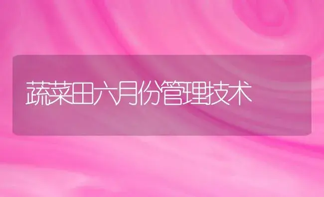 蔬菜田六月份管理技术 | 植物科普
