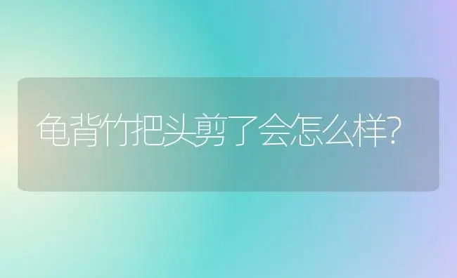 龟背竹把头剪了会怎么样？ | 植物问答