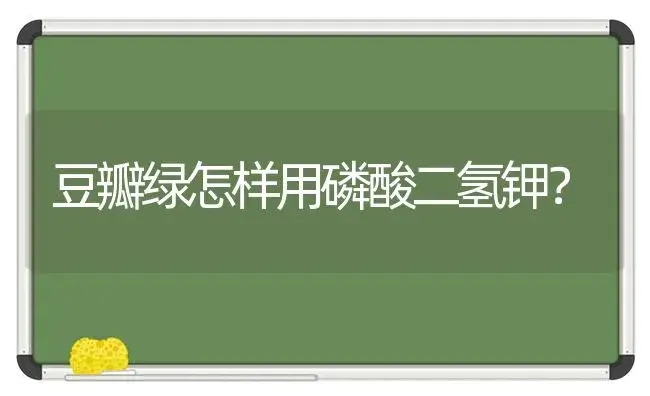 豆瓣绿怎样用磷酸二氢钾？ | 植物问答