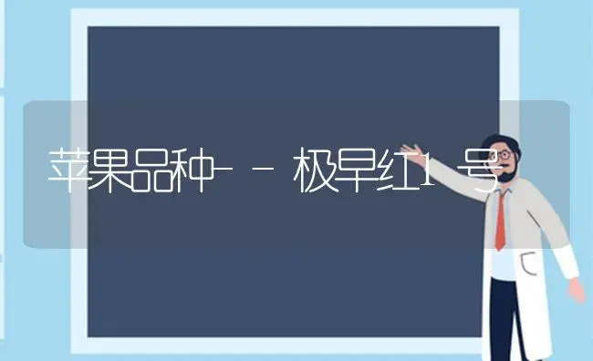 苹果品种--极早红1号 | 植物科普