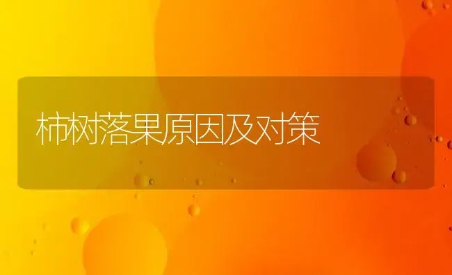 柿树落果原因及对策 | 植物科普