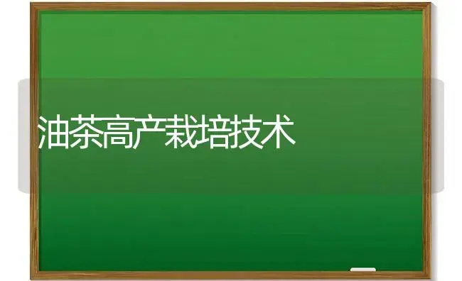 油茶高产栽培技术 | 植物百科