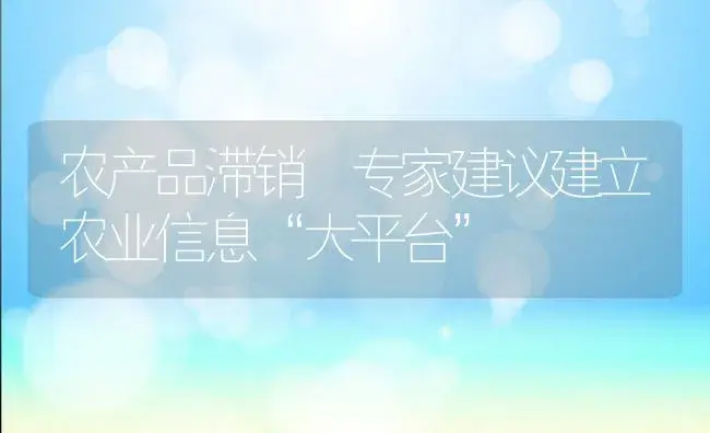 农产品滞销 专家建议建立农业信息“大平台” | 植物科普