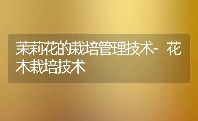 茉莉花的栽培管理技术-花木栽培技术 | 植物知识