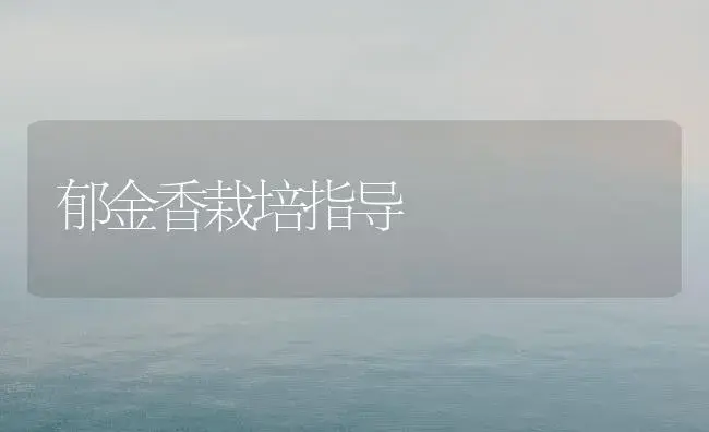 长毛兔新品种——沂蒙巨型长毛兔 | 植物科普