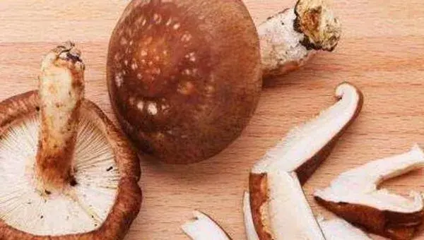 种植香菇需要投入多少？成本利润分析