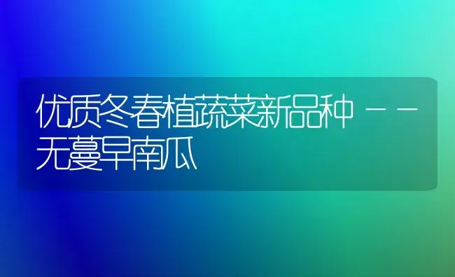 优质冬春植蔬菜新品种――无蔓早南瓜 | 植物科普