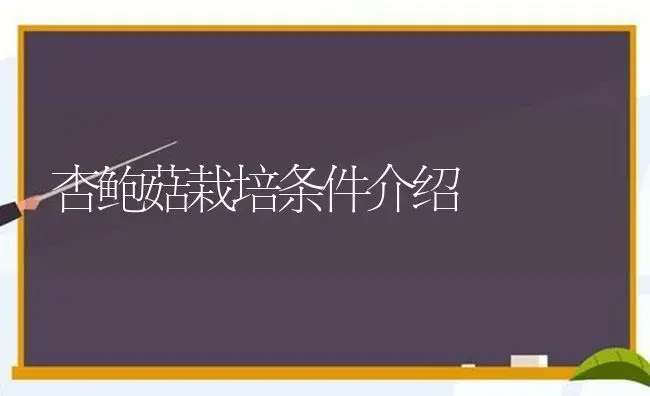 杏鲍菇栽培条件介绍 | 植物科普