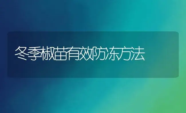 冬季椒苗有效防冻方法 | 植物资料