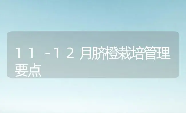 11－12月脐橙栽培管理要点 | 植物科普
