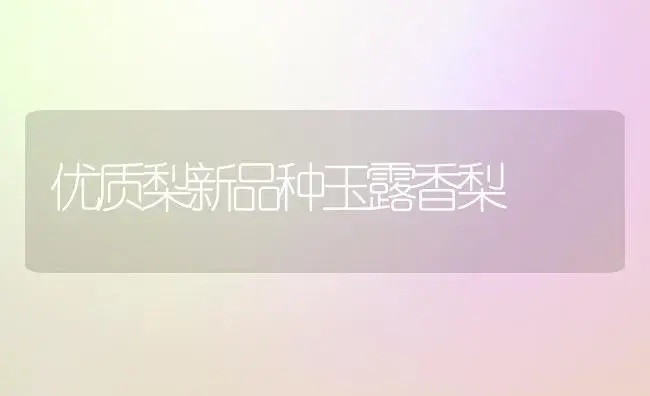 优质梨新品种玉露香梨 | 植物科普