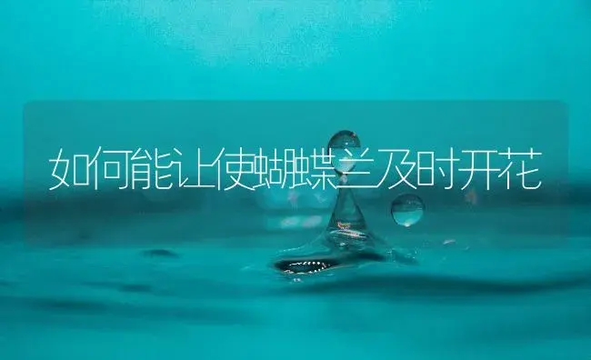 如何能让使蝴蝶兰及时开花 | 植物知识