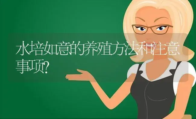 水培如意的养殖方法和注意事项？ | 植物问答